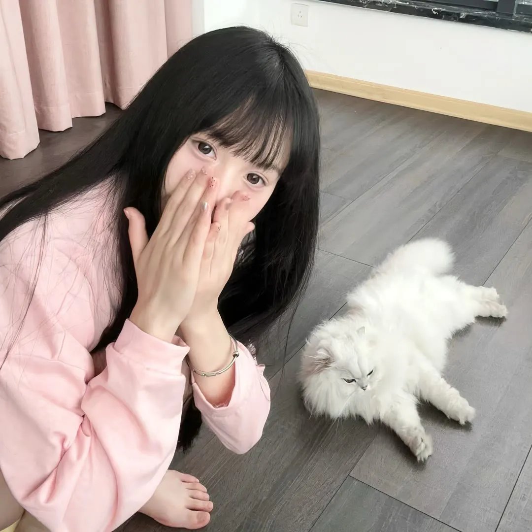 特种兵之火凤凰